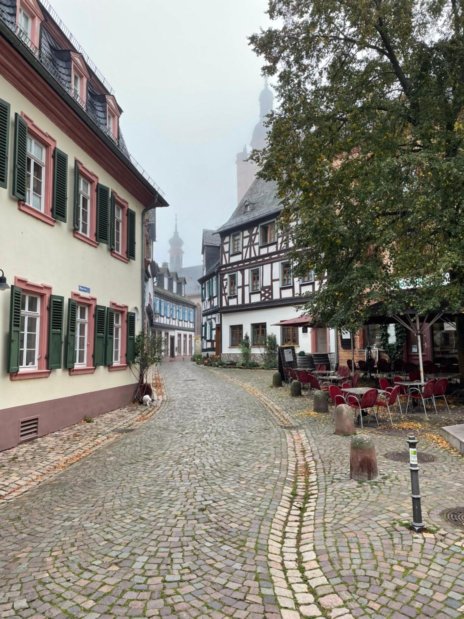 Alta Villa - Ferienwohnung Eltville am Rhein Buitenkant foto